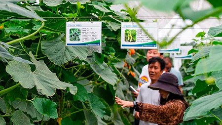 空間站與“卡脖子”，中國在警醒中爭取“逆襲